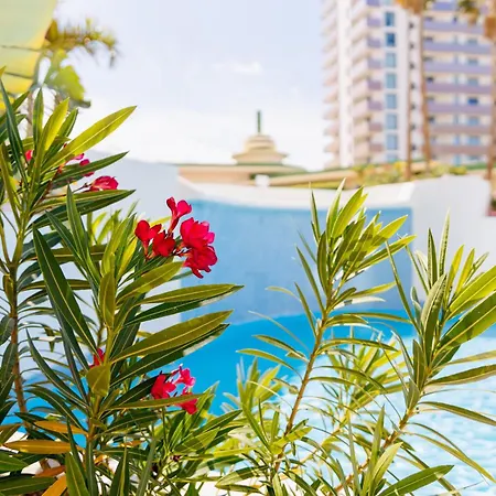 Appartement Dream 1 Bedroom Terrace Dining Pool In By Aqua Vista Tenerife