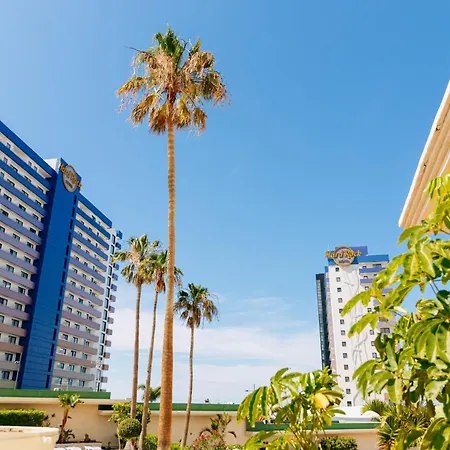 Appartement Dream 1 Bedroom Terrace Dining Pool In By Aqua Vista Tenerife Costa Adeje (Tenerife)